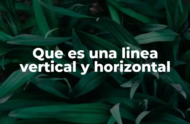Que es una Linea Vertical y Horizontal 2 Las líneas vertical y horizontal en el contexto de la geometría y el diseño