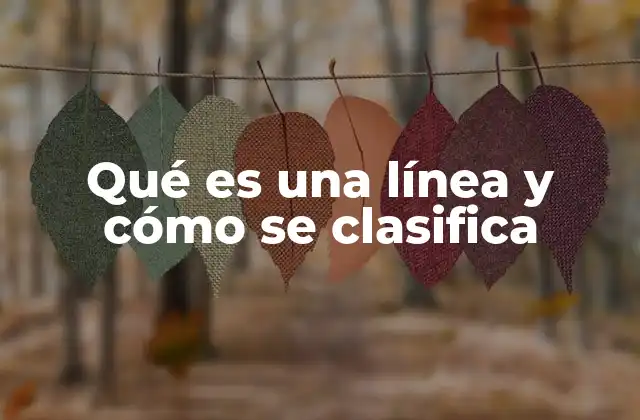 Qué es una Línea y Cómo Se Clasifica