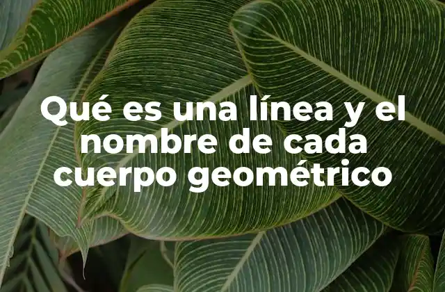 Qué es una Línea y el Nombre de Cada Cuerpo Geométrico