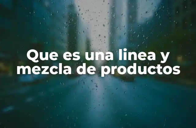 Que es una Linea y Mezcla de Productos