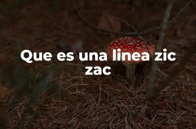 Que es una Linea Zic Zac