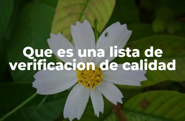 Que es una Lista de Verificacion de Calidad