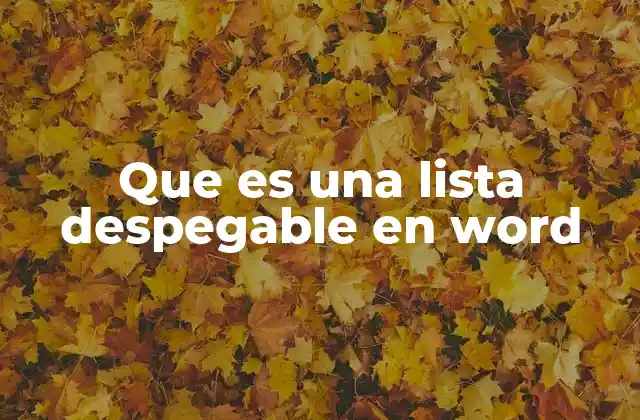 Que es una Lista Despegable en Word