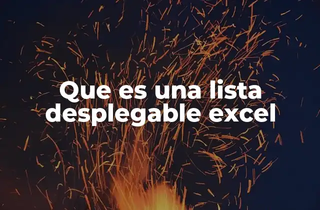 Que es una Lista Desplegable Excel