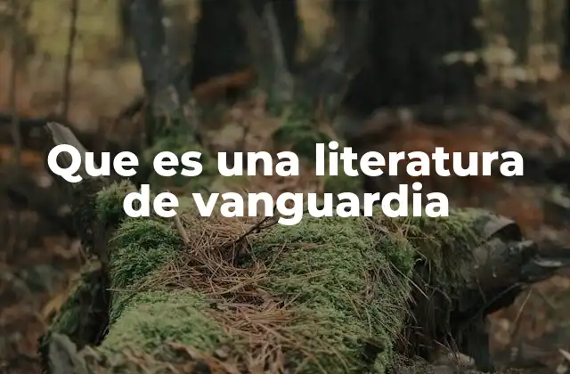 Que es una Literatura de Vanguardia