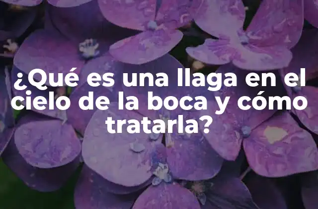 ¿qué es una Llaga en el Cielo de la Boca y Cómo Tratarla?