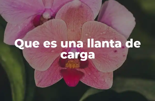 Que es una Llanta de Carga