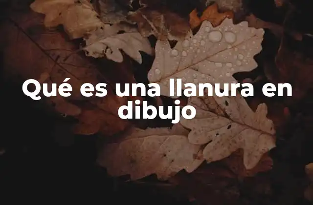 Qué es una Llanura en Dibujo