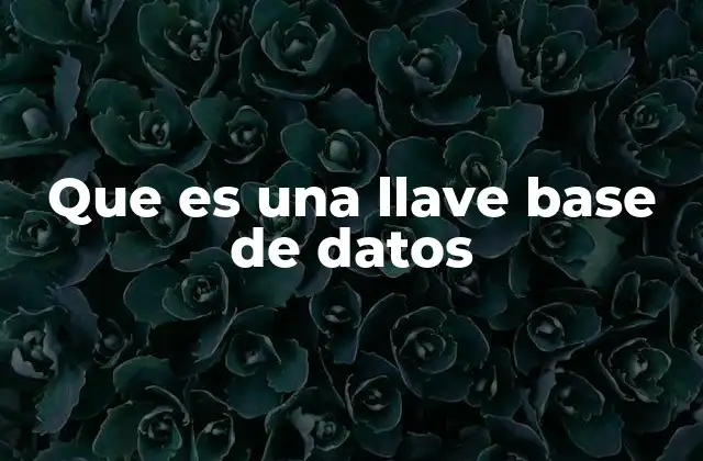 La importancia de las claves en la estructura de datos
