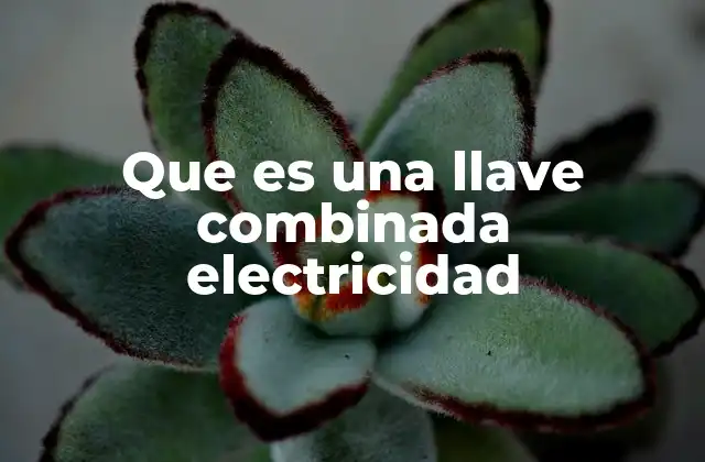 Que es una Llave Combinada Electricidad 2 Funcionamiento de las llaves combinadas en sistemas eléctricos