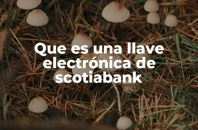 Que es una Llave Electrónica de Scotiabank