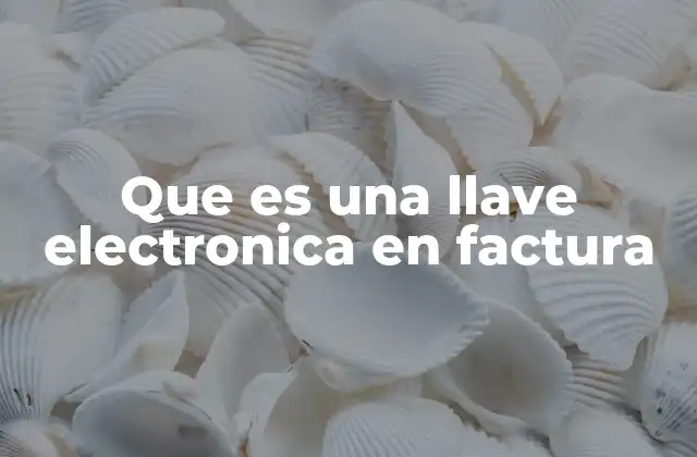 Que es una Llave Electronica en Factura