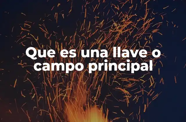 Que es una Llave o Campo Principal 2 El papel esencial de la clave primaria en la estructura de una base de datos