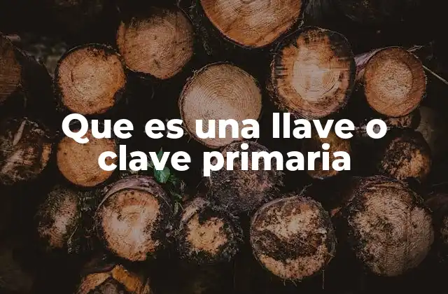 Que es una Llave o Clave Primaria