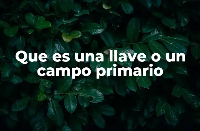 Que es una Llave o un Campo Primario