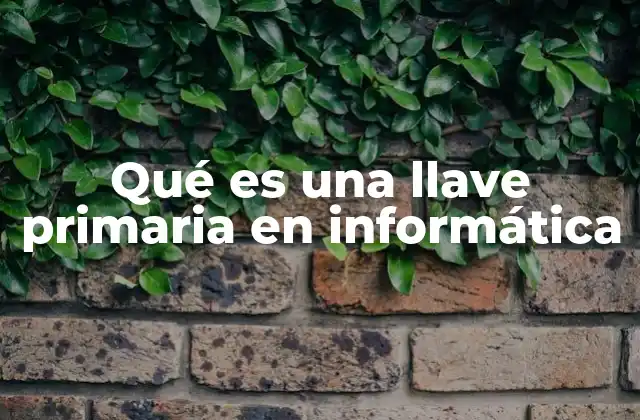 Qué es una Llave Primaria en Informática 2 La importancia de la llave primaria en el diseño de bases de datos
