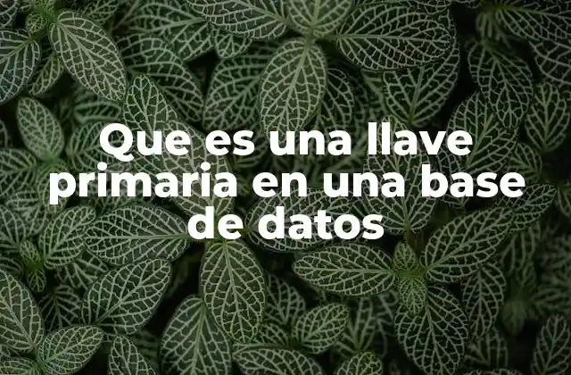 La importancia de tener una llave en las tablas de datos