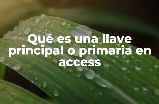 Qué es una Llave Principal o Primaria en Access
