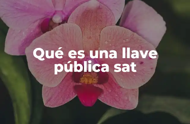 Cómo funciona la llave pública en el entorno digital del SAT
