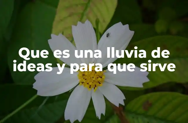 Que es una Lluvia de Ideas y para que Sirve