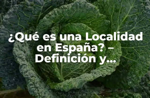¿qué es una Localidad en España? – Definición y Características