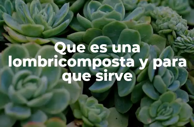 Que es una Lombricomposta y para que Sirve