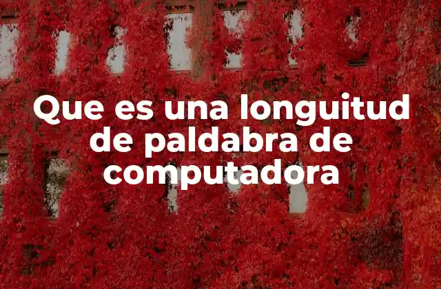 La arquitectura y el rendimiento detrás de la longitud de palabra