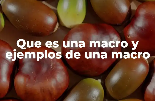 Que es una Macro y Ejemplos de una Macro