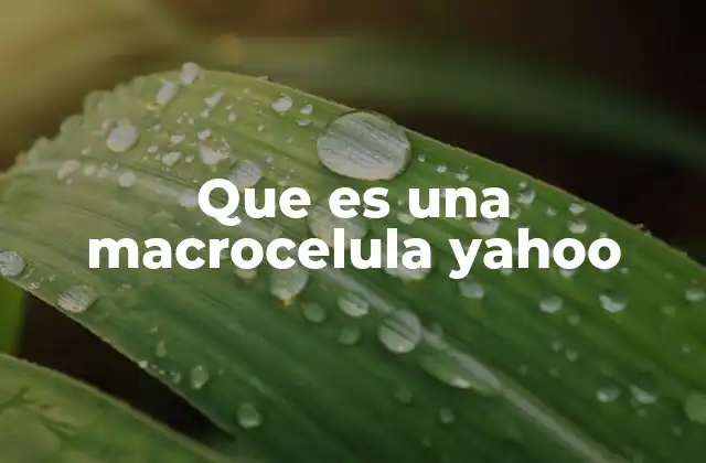 Que es una Macrocelula Yahoo