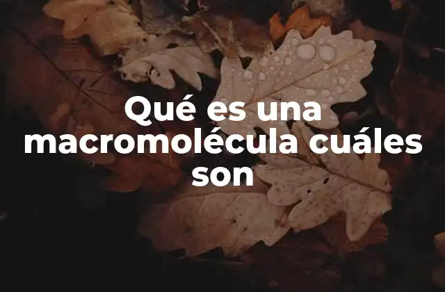 Qué es una Macromolécula Cuáles Son