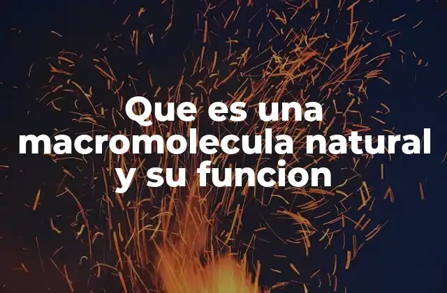 Que es una Macromolecula Natural y Su Funcion