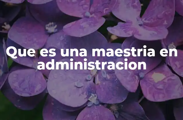 Que es una Maestria en Administracion