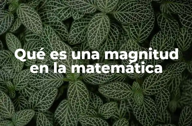 Qué es una Magnitud en la Matemática