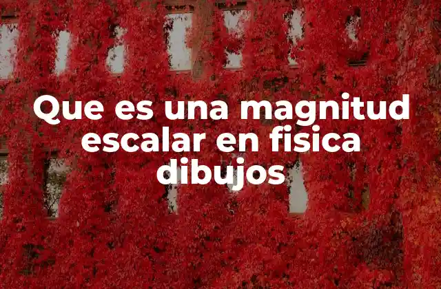La diferencia entre magnitudes escalares y vectoriales