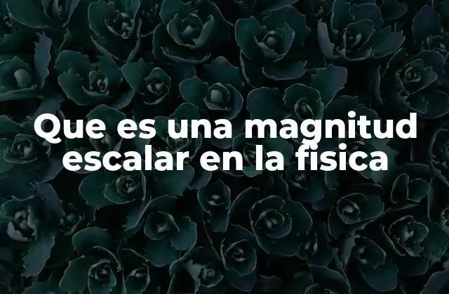 Que es una Magnitud Escalar en la Fisica