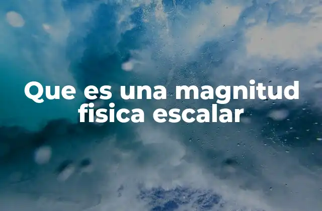 Que es una Magnitud Fisica Escalar