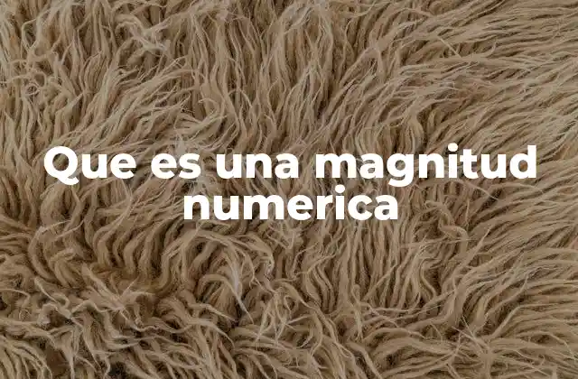 Que es una Magnitud Numerica