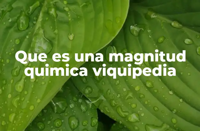 Magnitudes que describen las propiedades de las sustancias