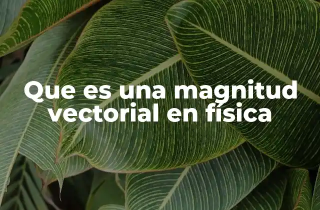 La importancia de representar direcciones en el estudio de la física