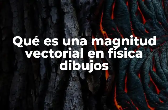 Qué es una Magnitud Vectorial en Física Dibujos