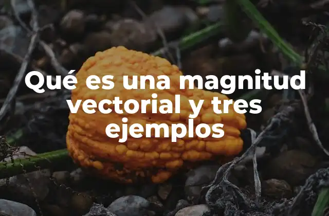 Qué es una Magnitud Vectorial y Tres Ejemplos