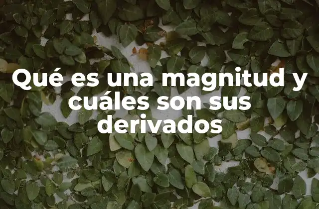 Qué es una Magnitud y Cuáles Son Sus Derivados