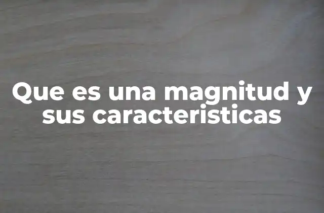 Que es una Magnitud y Sus Caracteristicas