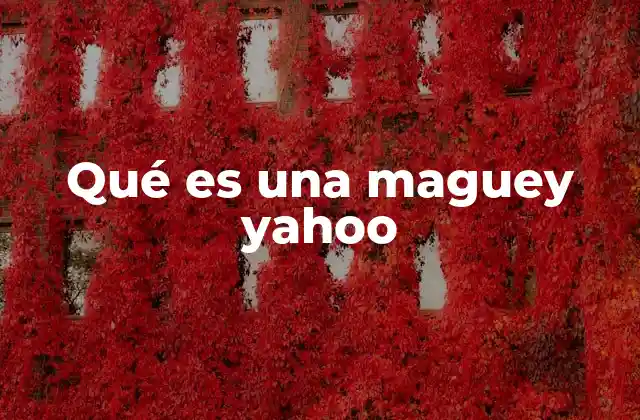 Qué es una Maguey Yahoo