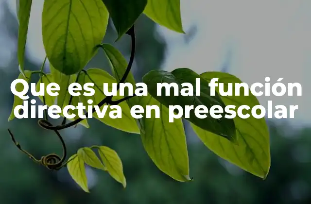 Que es una Mal Función Directiva en Preescolar