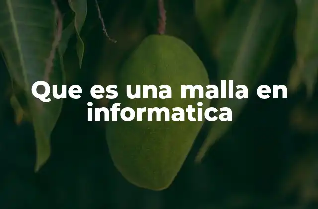 Que es una Malla en Informatica