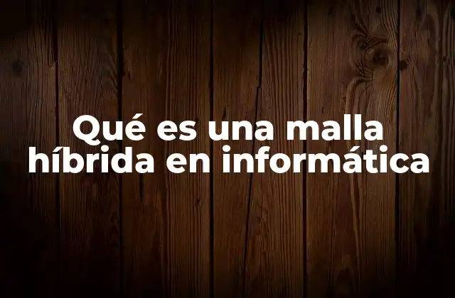 Qué es una Malla Híbrida en Informática