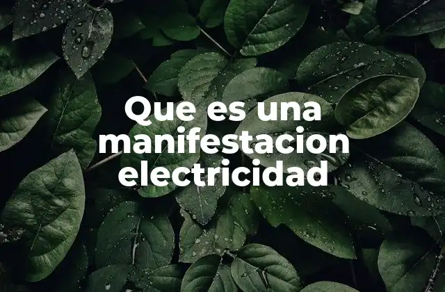 Que es una Manifestacion Electricidad