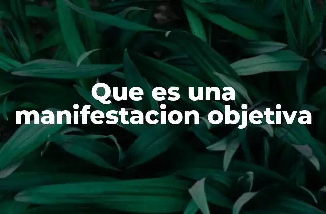 Que es una Manifestacion Objetiva