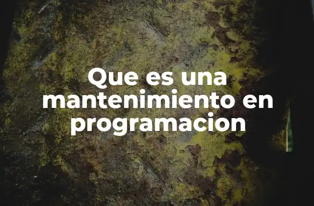 Que es una Mantenimiento en Programacion